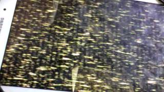 Five Nihts At Freddies 2