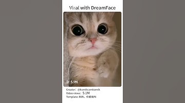 Try DreamFace pet talking feature today to create your own cute pet video