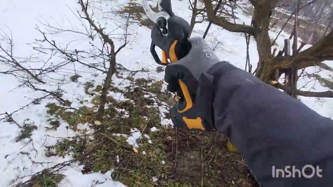 Livada de 60 de pomi finalizată și pregătită pentru un nou sezon de fructificare, 🍐🍏🍒🫐🍑