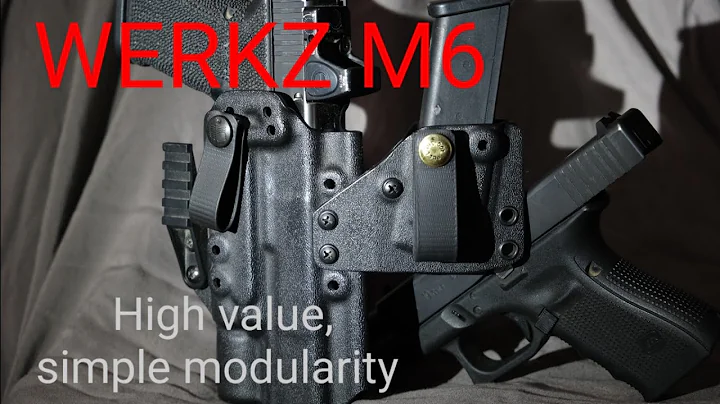 WERKZ M6 HOLSTER SYSTEM: My current choice for dedicated gun/light carry.