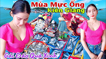 Mùa Mực Ống Ở Biển thu hoạch Cùng Gái Xinh Cảnh Tuyệt Đẹp Cảng Cá An Thới Phú Quốc Kiên Giang