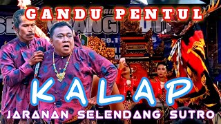 KALAP // GANDU PENTUL // JARANAN SELENDANG SURTO // KEDUNGGEBANG