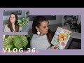 Pothos manjula expriences et conclusions  dco de printemps et magasine cuisine  vlog 36 