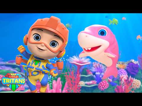 Baby Shark Song 🎵 Nursery Rhyme and Preschool Poem for Children
