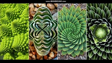 تلاوة قرأنية بصوت المهندس / أشرف أسامة - من خواتيم سورةالبقرة ومن فواتح سورة ال عمران