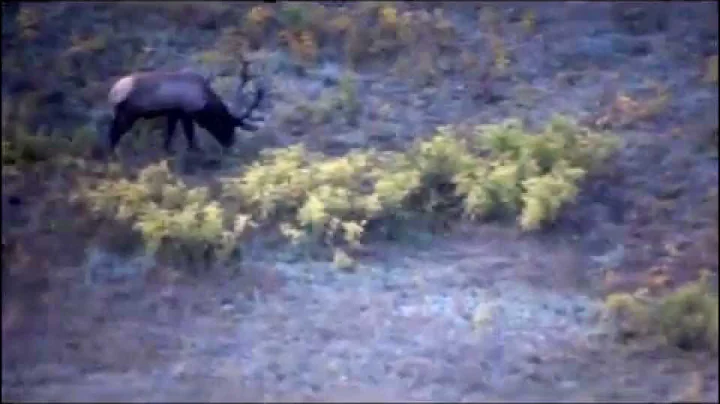 Big Bull elk Manti Utah Unit 2015