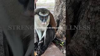 Strength in Stillness | Nature’s Gentle Pause