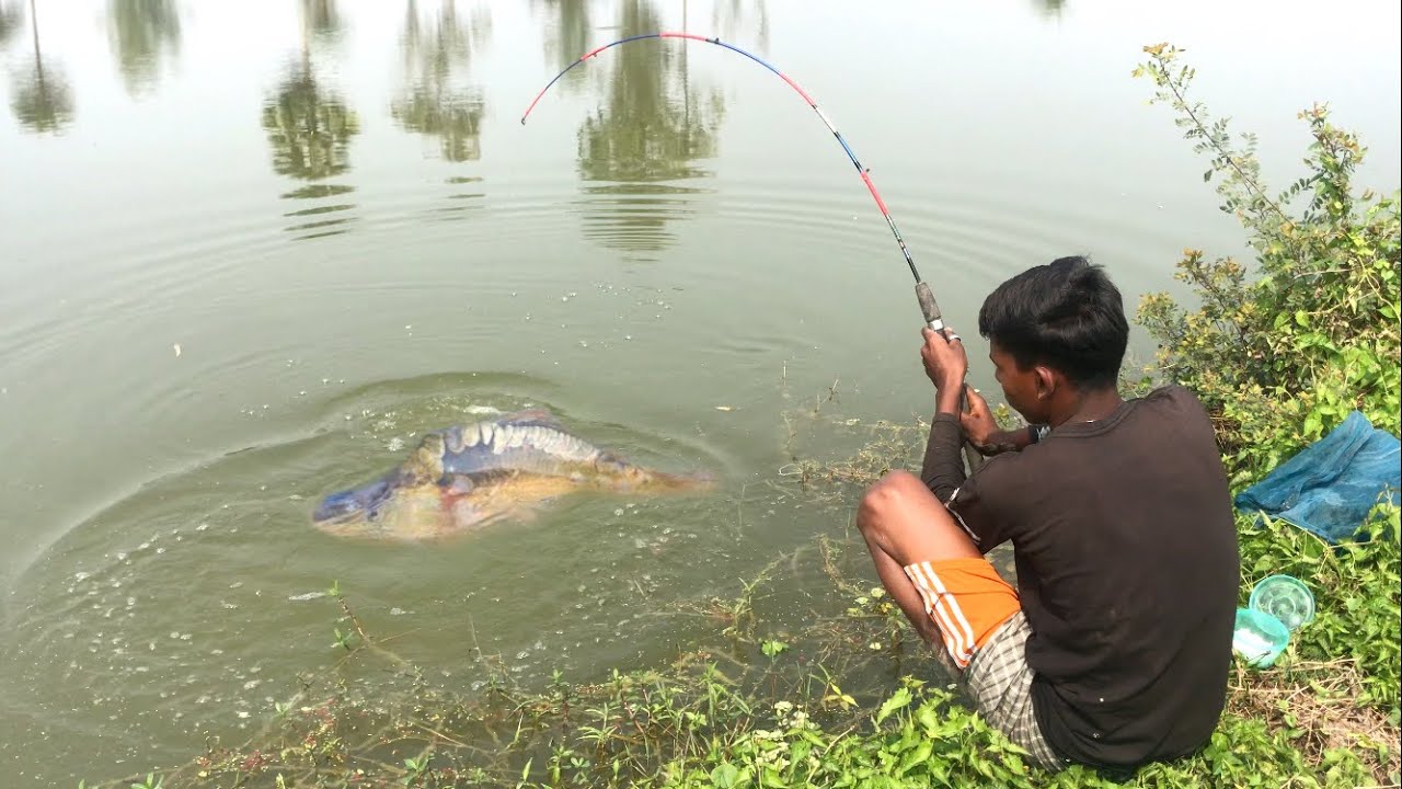 Hook Fishing | Traditional Hook Fishing | Village Daily Life (27)