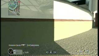 Dazzle Test COD4
