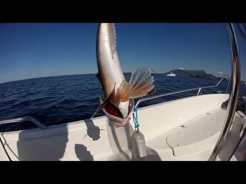 Going fishing 5.