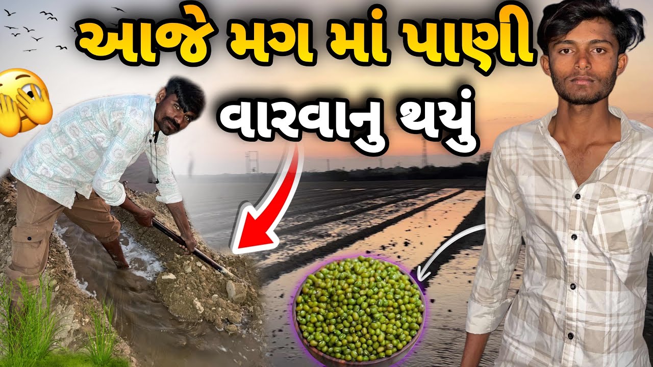 આજે મગ માં પાણી વારવાનુ થયું || Today I had to pour water into the mug.