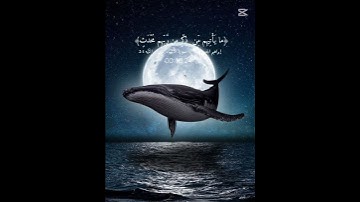 قران الكريم راحة نفسية ممكن شتراك #اكسبلور #المصحف #القارئ #لايك #duet #الرحمن #تيك_توك #سورة #ظروف