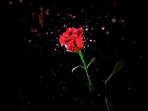 همسات صباحية