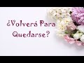 ↩ ¿VOLVERÁ PARA QUEDARSE? ↪ Tarot Interactivo Persona Especial Expareja Alma Gemela