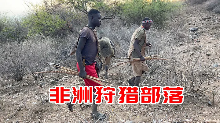 【探秘非洲狩獵部落】跟隨狩獵部落去打獵，沒想到他們最後抓這個動物來吃｜非洲原始部落｜Hadzabe｜狩獵 - 天天要聞