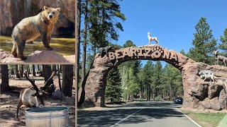 Bearizona Wildlife Park in Williams, Arizona