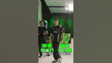 The teams for the most stacked pug ever