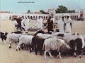 ولاية بشار قديما ولاية بشار قديما