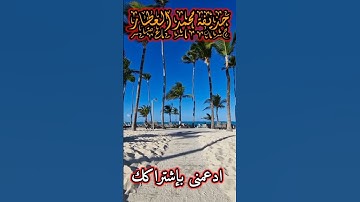 القرآن الكريم  تلاوة عبقة | حذيفة محمد العطار | تلاوة هادئة ومريحة | سورة النساء مع الطبيعة | #قرآن
