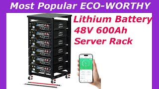 Most Popular 48V Server Rack Battery. And It's Actually Impressive..