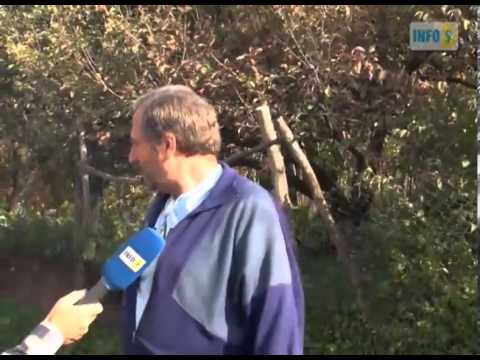 გზა თუ წყალი?