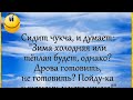 &quot;Зима холодная или тёплая будет..?&quot; Анекдот! Юмор! Позитив!))