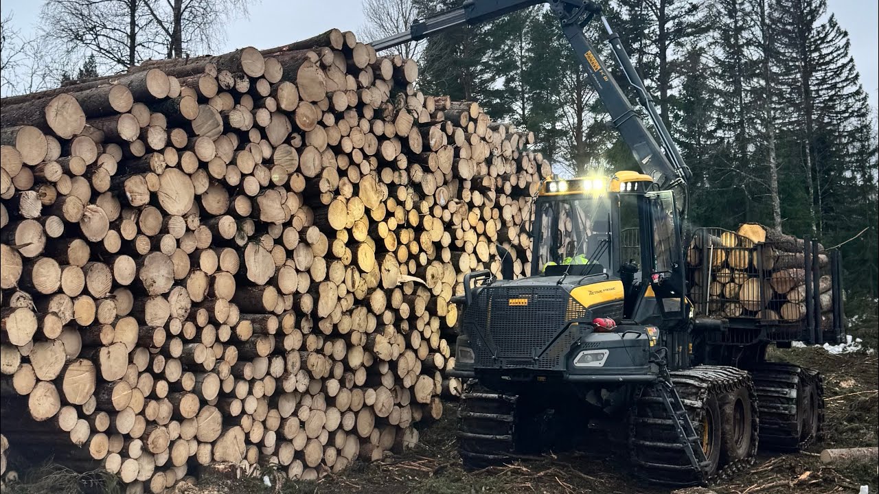 Ponsse Bison loading