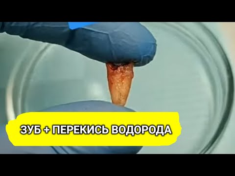 Видео: Является ли потогонное прилагательным?