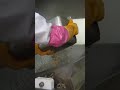 신기한 새우볶음밥 공장 대량생산 과정 / Amazing shrimp fried rice mass production process