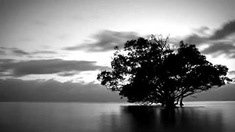 تلاوة رائعة للشيخ ياسر الدوسري حفظه الله " وأعدوا لهم ما استطعتم من قوة و من رباط الخيل "