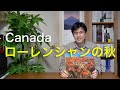 カナダ、ローレンシャンの秋の魅力を語ります