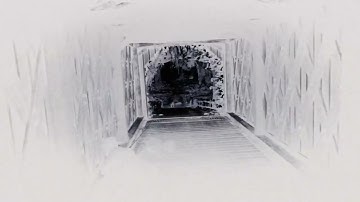 Red Dead Redemption 2 - Testing Out Custom Gang Mod (Commentary)