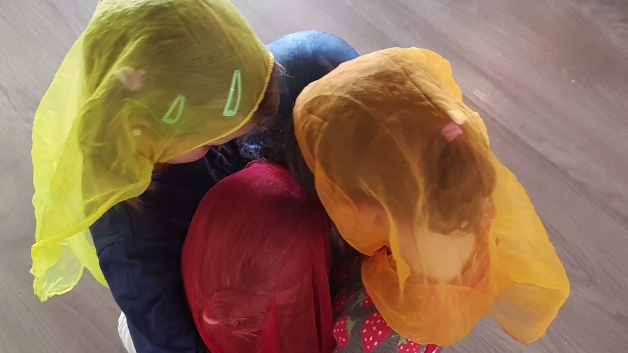 PROJECTE PEDAGÒGIC - ESCOLA GAIA