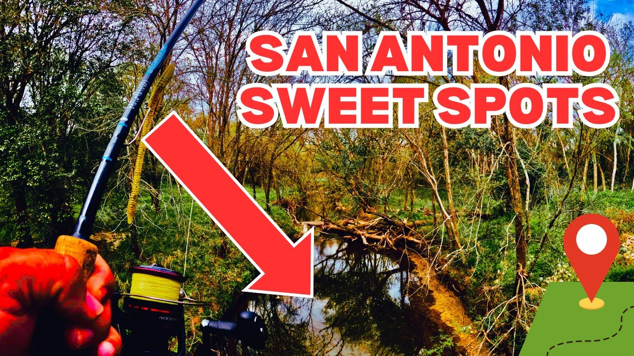 MASSIVE Bass SKINNY Water EASY| San Antonio, Texas #fishing #bassfishing #fishingtips