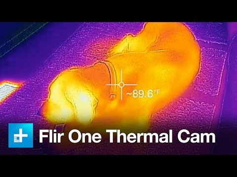 Flir One Thermal Imager for iOS and Android