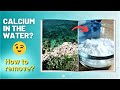 Understanding Hard and Soft Water