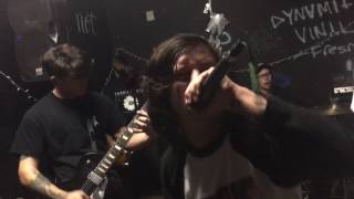 Lifelink - Unhealed - Live @ Dynamite Vinyl