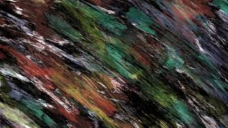 Celebrity 4K Brush Colorful Abstract Paint UHD HD Background Animation Net Worth