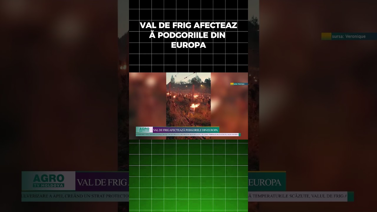 VAL DE FRIG AFECTEAZĂ PODGORIILE DIN EUROPA