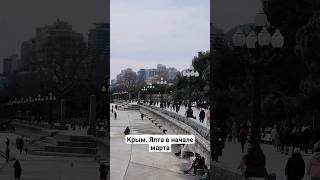 Крым. Ялта сегодня. Началась весна #крым