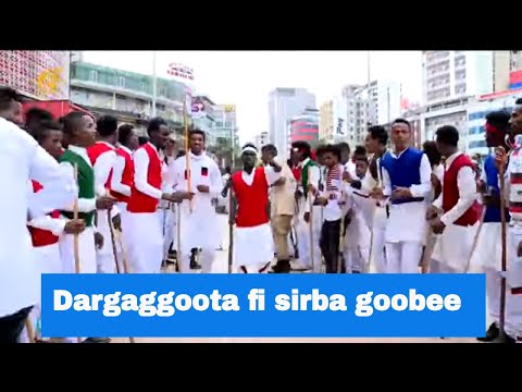 Dargaggoota Fi Sirba Goobee