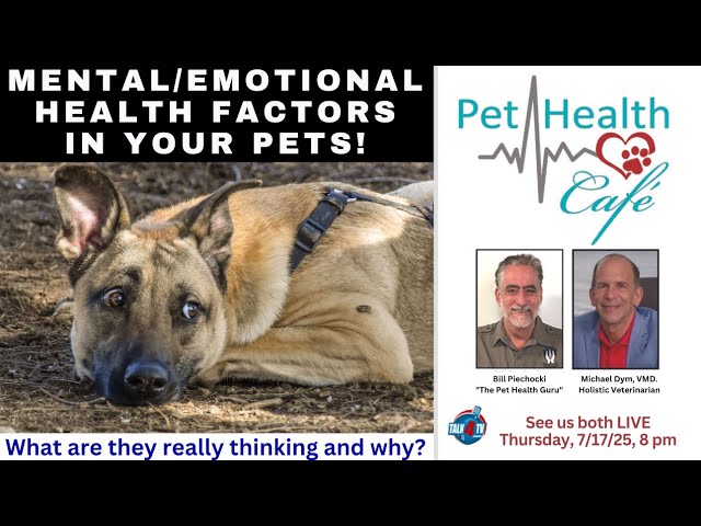 Mental/Emotional Health Factors In Pets