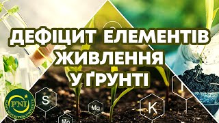 ДЕФІЦИТ ЕЛЕМЕНТІВ ЖИВЛЕННЯ У ҐРУНТІ: причини та наслідки