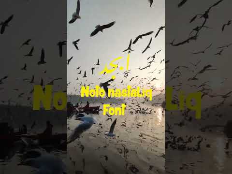 افضل خطوط سنمائية عربية