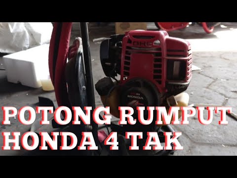 Video: Oli Mesin Pemotong Rumput 4-tak: Oli Mesin Mana Yang Harus Saya Masukkan Ke Mesin Pemotong Rumput Empat-tak?