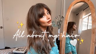 ALL ABOUT MY HAIR (fringe + storytime)