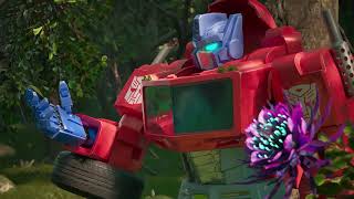 Transformers Cyberworld: COMPLETE SEASON 1 CATCH-UP!  🔴