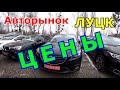 Актуальные цены на авторынке в Луцке