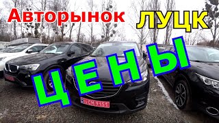 Актуальные цены на авторынке в Луцке