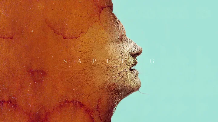 Foy Vance - Sapling (feat. Rag'n'Bone Man) (Jonasu...
